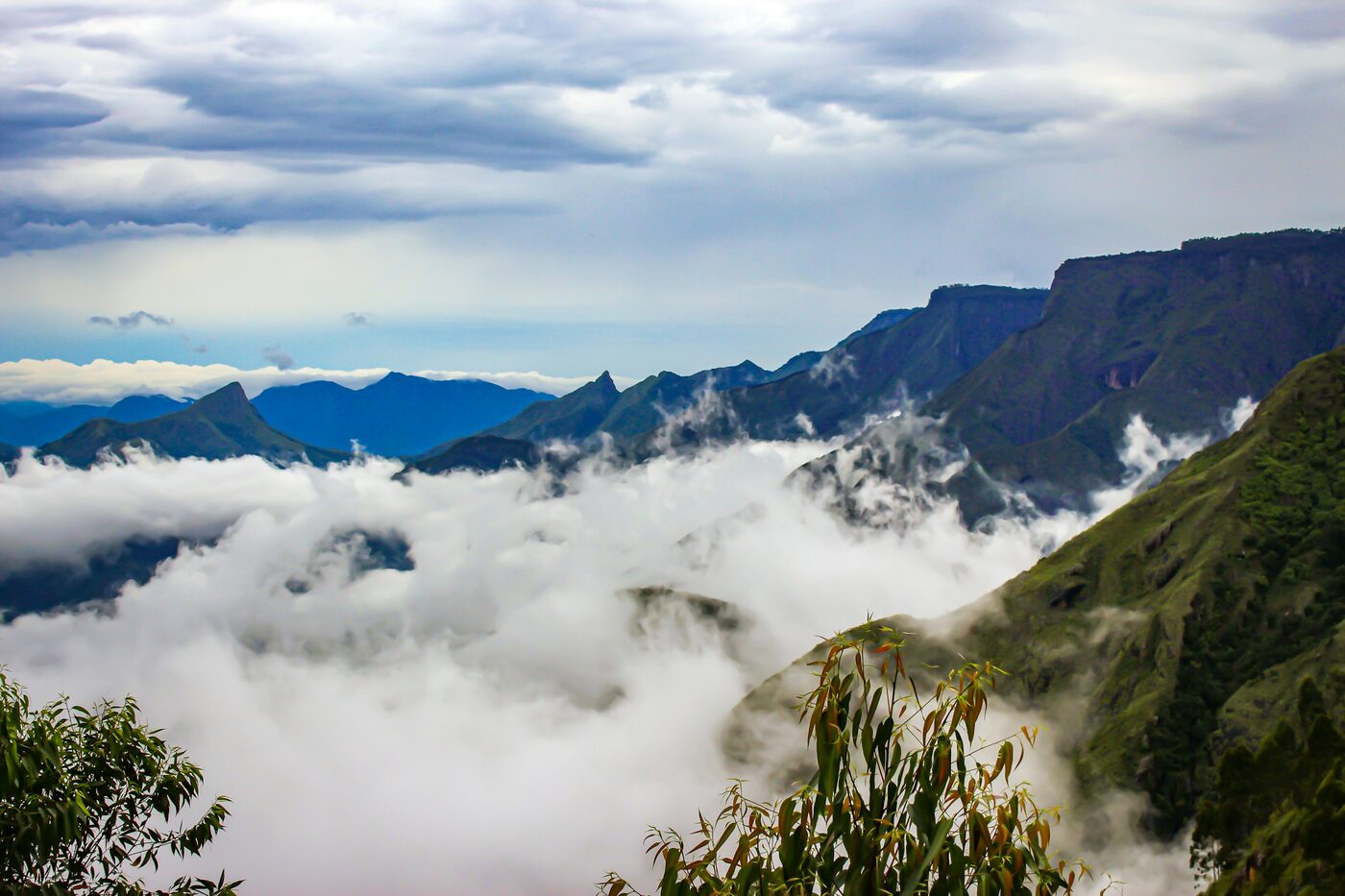 Misty green hills in a wind-rich Tamil Nadu terrain
